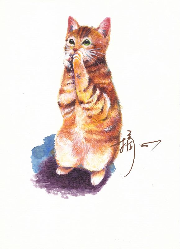 色鉛筆畫貓咪 作品集 獎金獵人