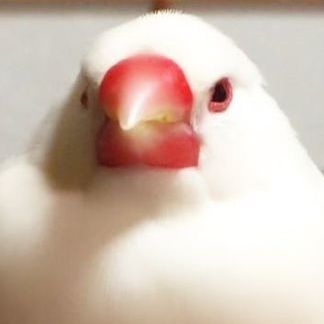 雷光一閃 作品集 獎金獵人