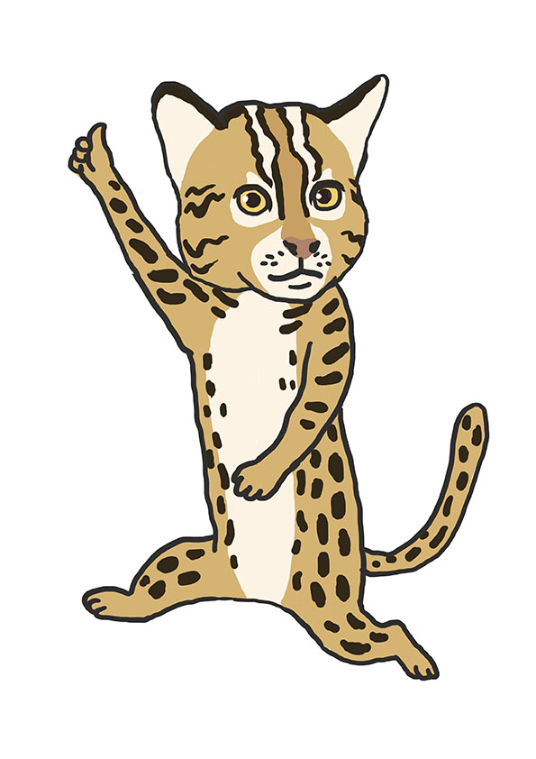 石虎站起來! 《我是插畫師，我挺台灣石虎》