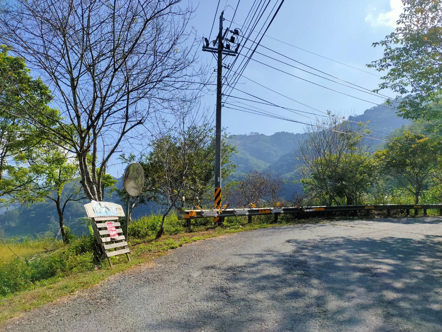 萬豐跟松林交接處