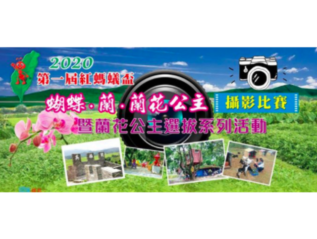 一屆紅螞蟻盃 蝴蝶 蘭 蘭花公主 攝影比賽 獎金獵人