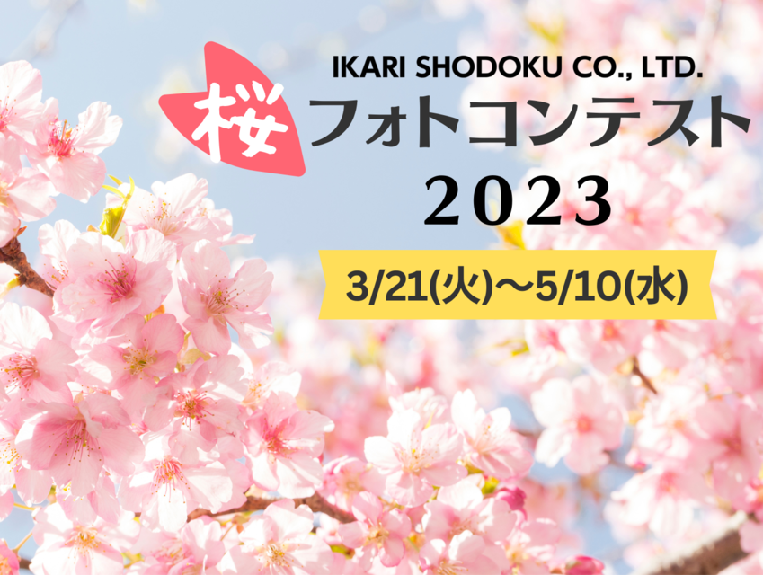 2023 桜のフォトコンテスト2023 : 2023年樱花摄影比赛- 獎金獵人